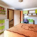Vikendica House Cokuni